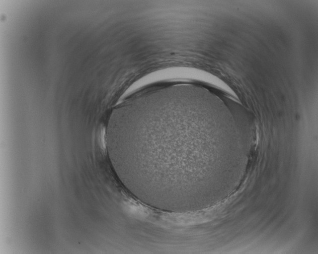 X0000068810041200605121302