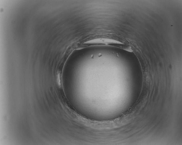 X0000068810042200605121301