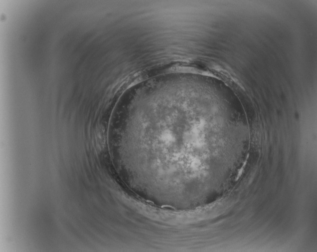 X0000068810043200605121301