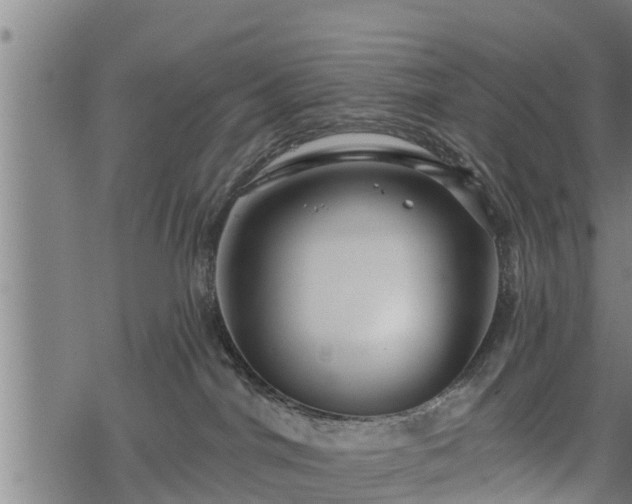 X0000068810044200605121301