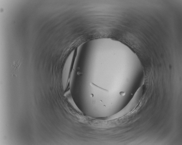 X0000068810045200605121301