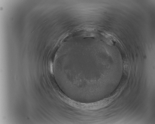 X0000068810046200605121301