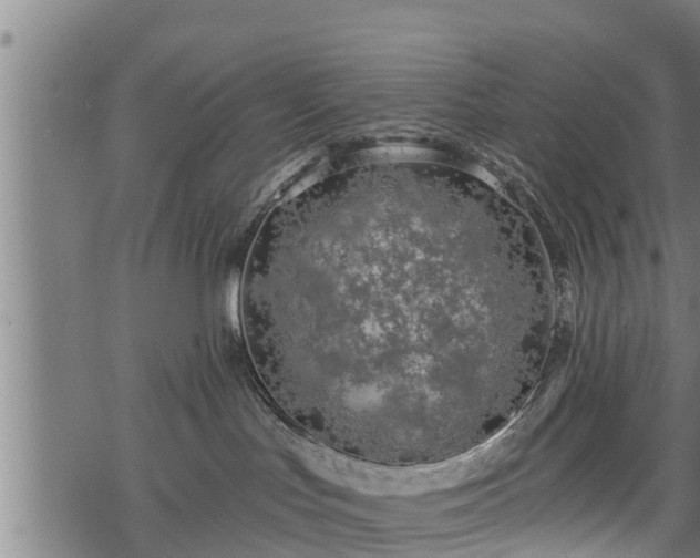 X0000068810047200605121301