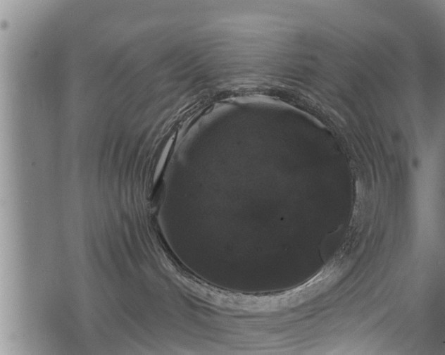 X0000068810048200605121301