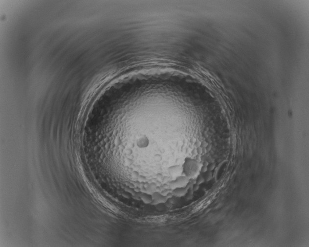 X0000068810049200605121301