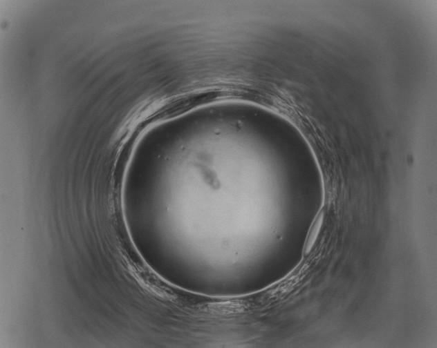 X0000068810050200605121301