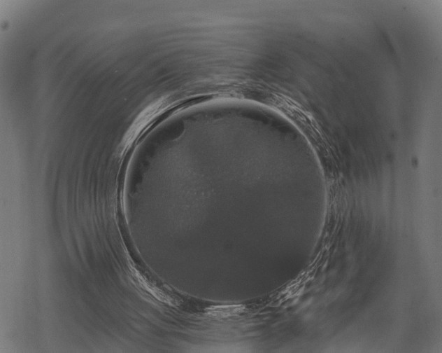 X0000068810051200605121301