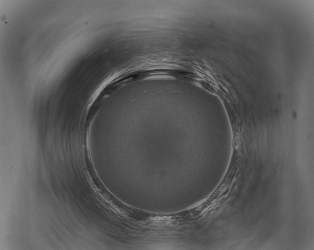 X0000068810052200605121301