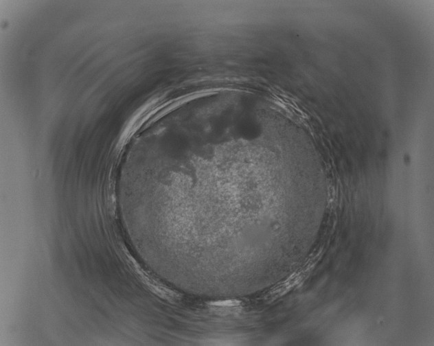 X0000068810053200605121301