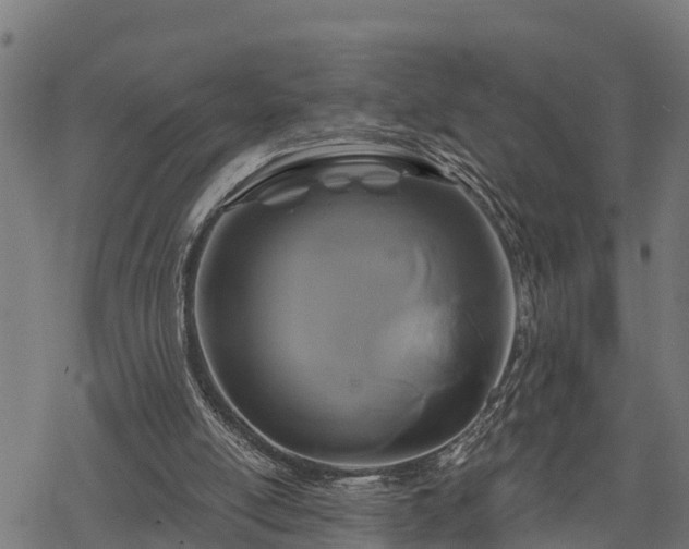 X0000068810054200605121301