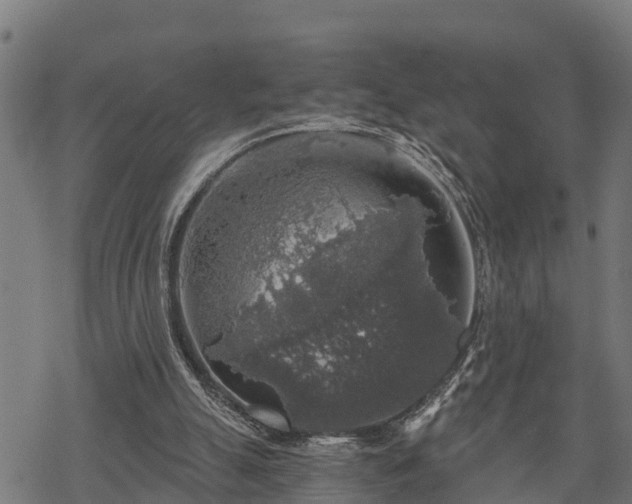 X0000068810055200605121301