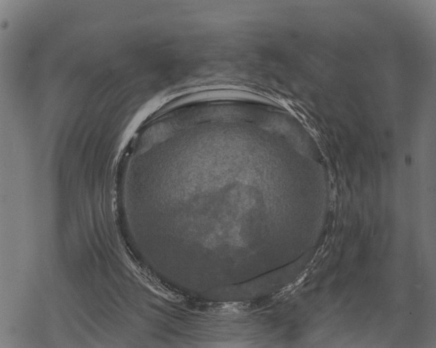 X0000068810056200605121301