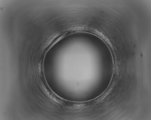 X0000068810057200605121301