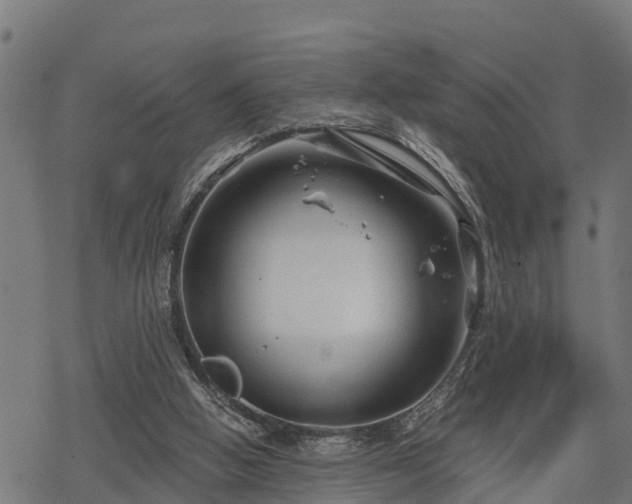 X0000068810058200605121301