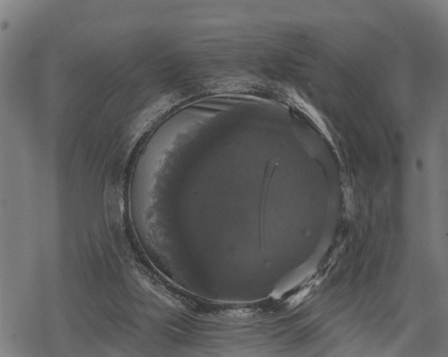 X0000068810059200605121301