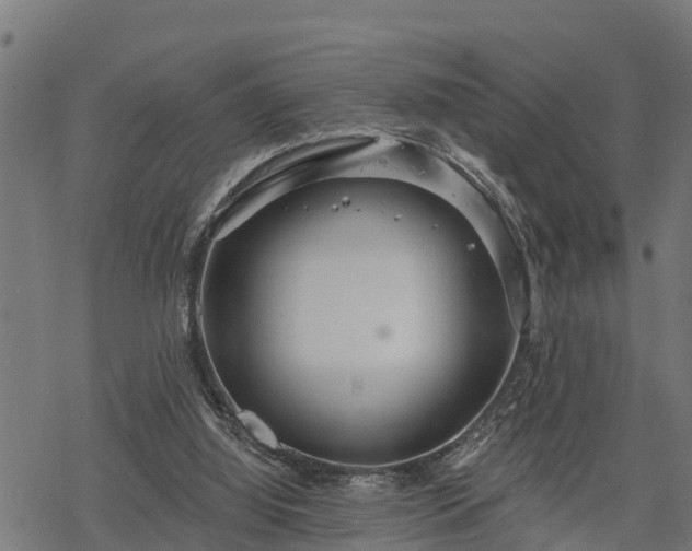 X0000068810060200605121301