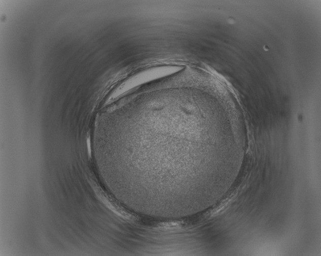 X0000068810061200605121301