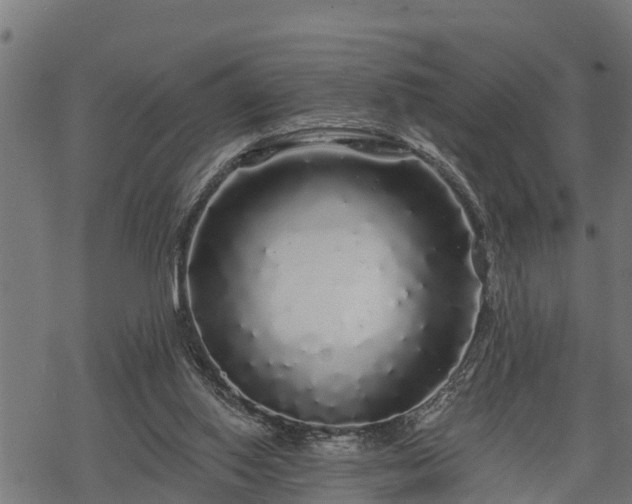 X0000068810062200605121301