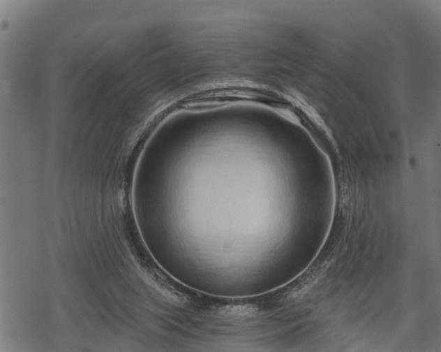 X0000068810063200605121301