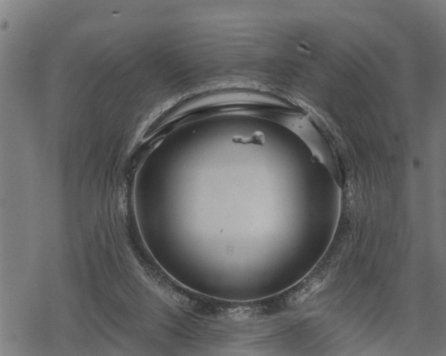 X0000068810064200605121301