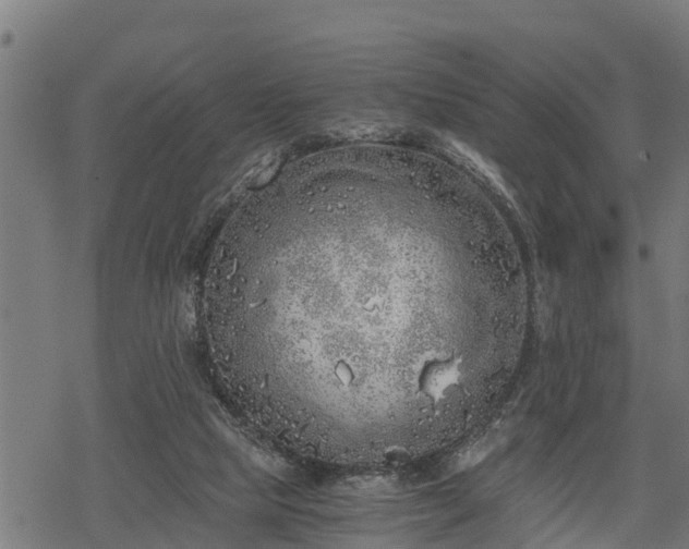 X0000068810065200605121301