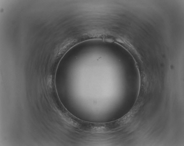 X0000068810066200605121301