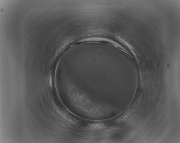 X0000068810067200605121301