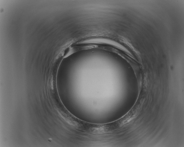 X0000068810068200605121301