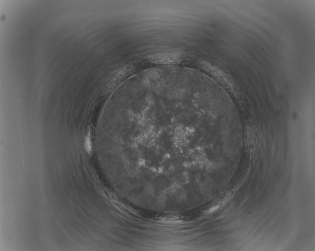 X0000068810069200605121301