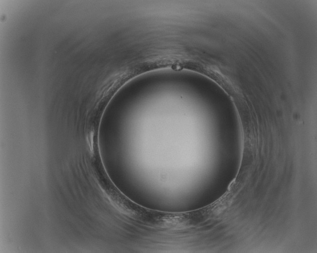 X0000068810070200605121301