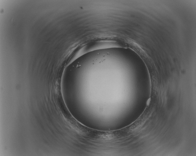 X0000068810071200605121301