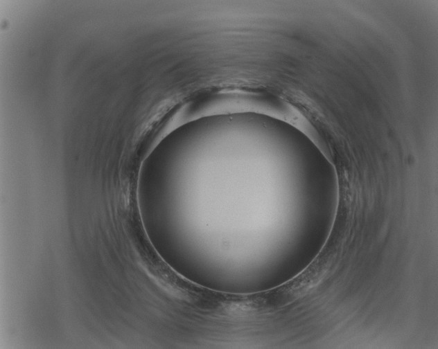 X0000068810072200605121301