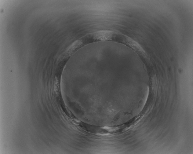 X0000068810073200605121301