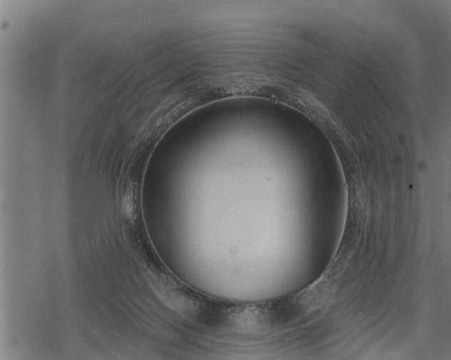 X0000068810074200605121301