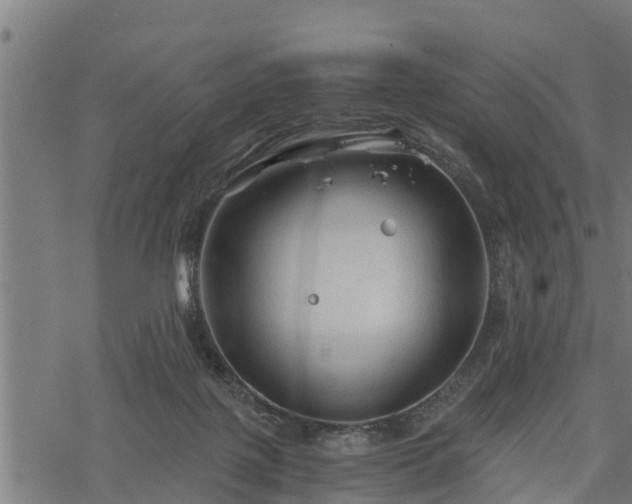 X0000068810075200605121301