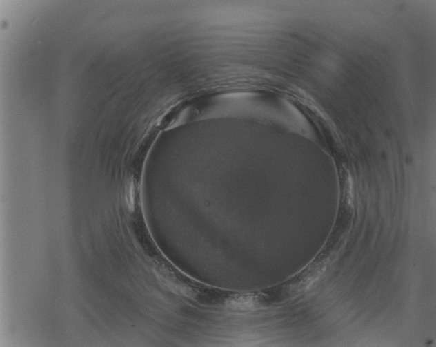 X0000068810076200605121301