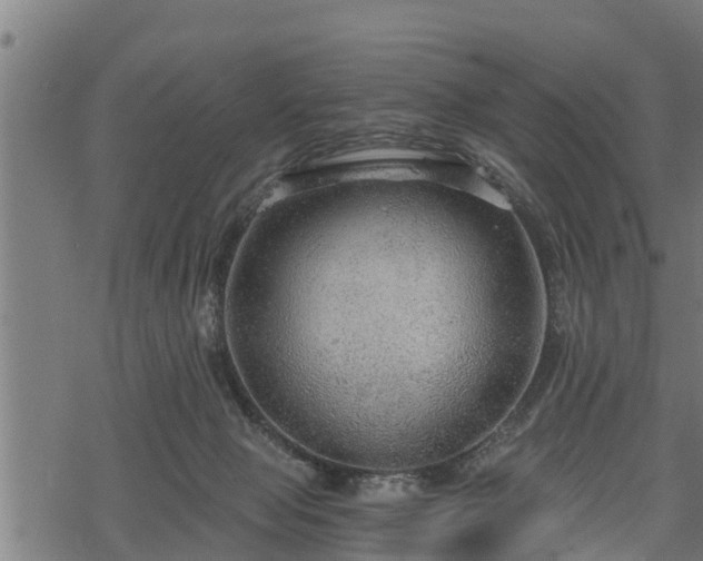 X0000068810077200605121301