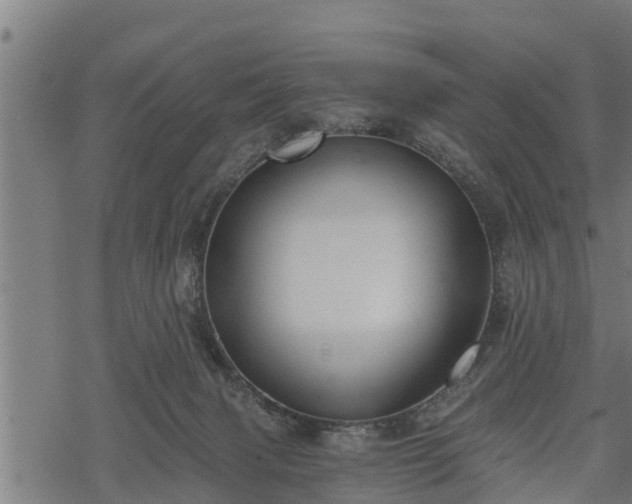 X0000068810079200605121301