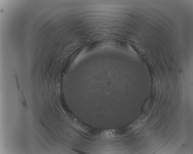 X0000068810080200605121301