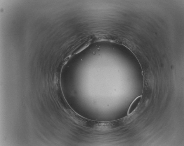 X0000068810082200605121301