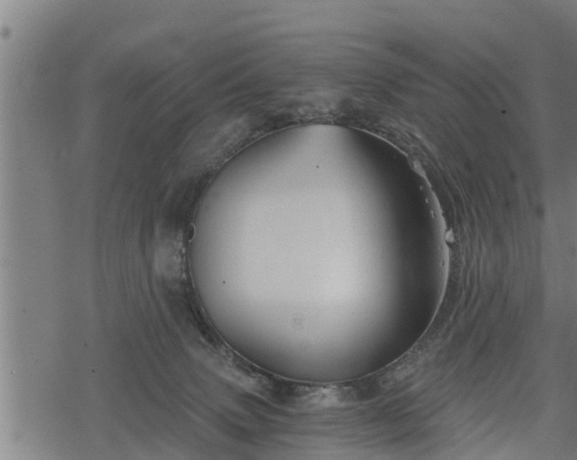 X0000068810083200605121301