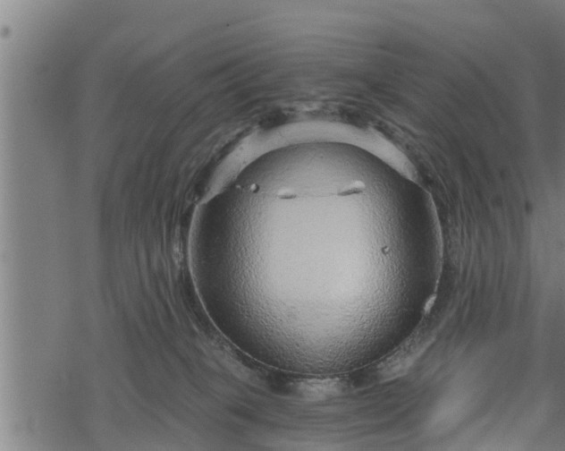 X0000068810085200605121301