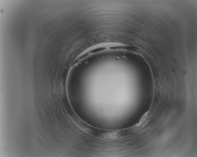 X0000068810086200605121301