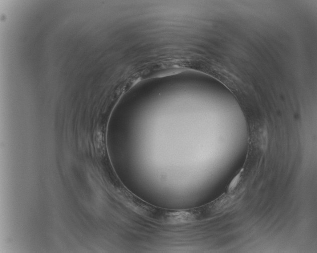 X0000068810087200605121301