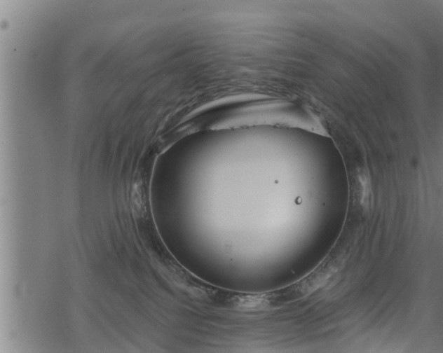 X0000068810088200605121301