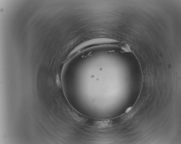 X0000068810089200605121301