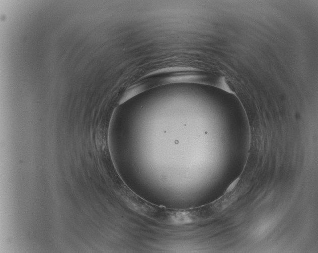 X0000068810091200605121301