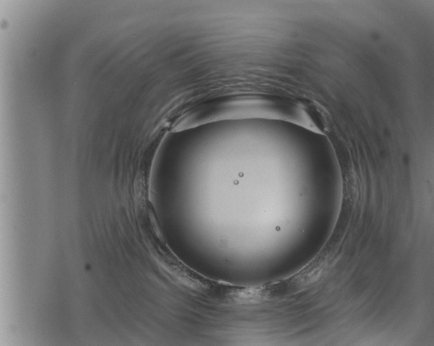 X0000068810092200605121301