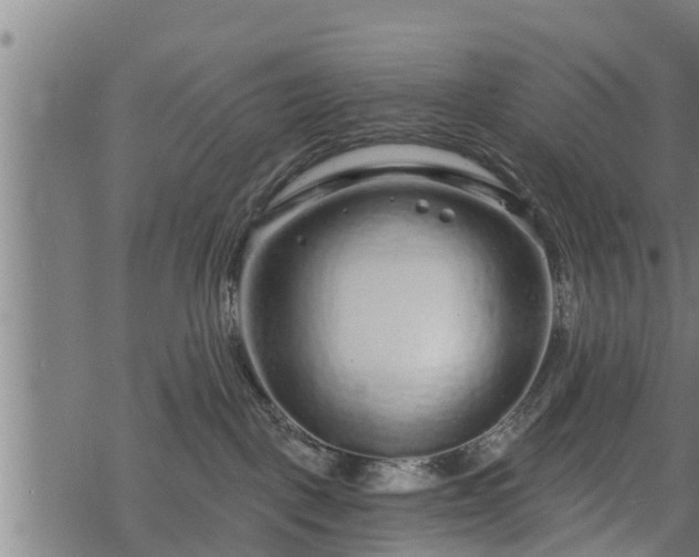 X0000068810093200605121301