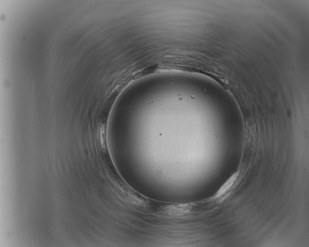 X0000068810094200605121301